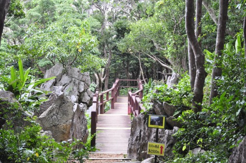 大石林山の橋