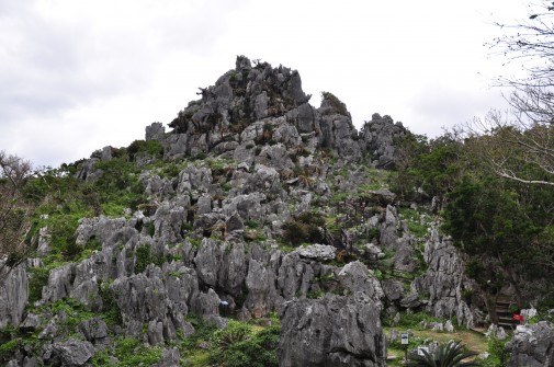 大石林山の石⑤