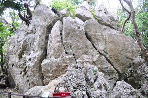 大石林山の石⑥