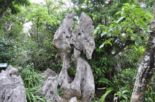 大石林山の石⑦