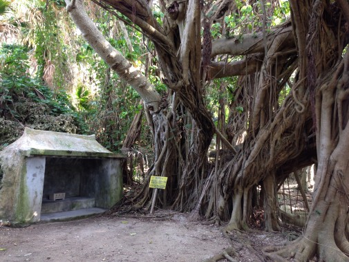 浜比嘉島イメージ