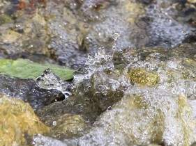 水が滴る様子