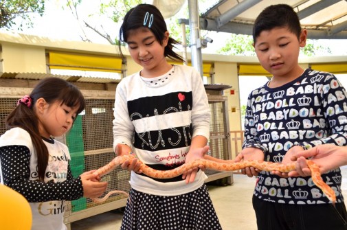 へびを触る子ども達