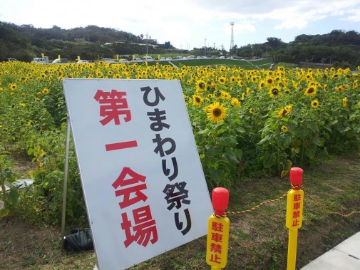 冬のひまわり祭り