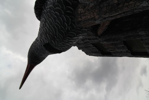 下から見たヤンバルクイナ型の展望台