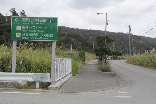 やんばる森のおもちゃ美術館への道しるべ