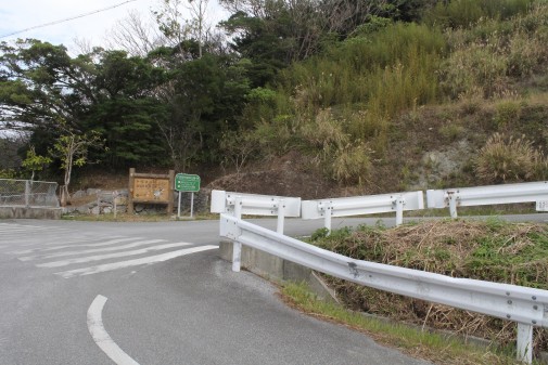 やんばる森のおもちゃ美術館への道