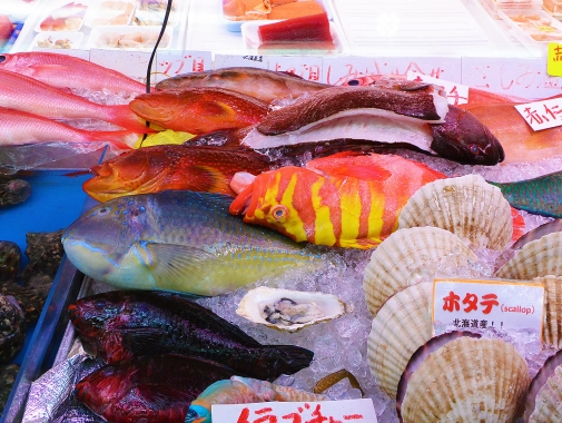 沖縄の鮮やかな色の鮮魚いろいろ