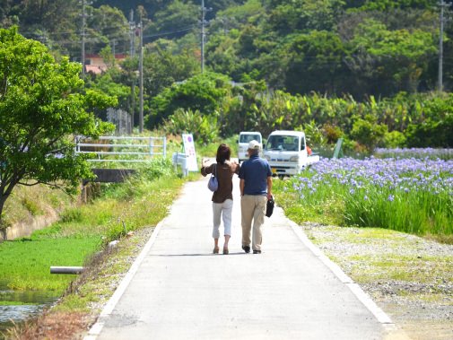 花を見に来た夫婦