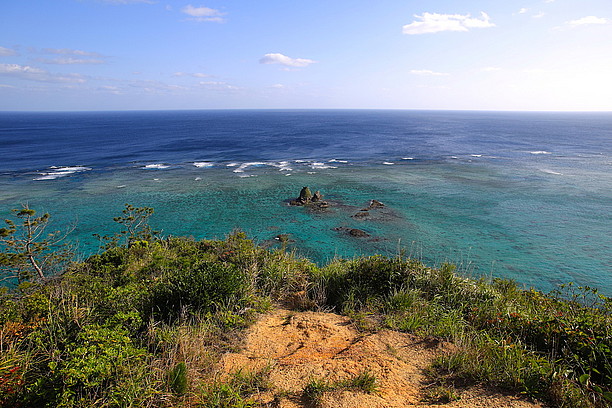 丘からの風景