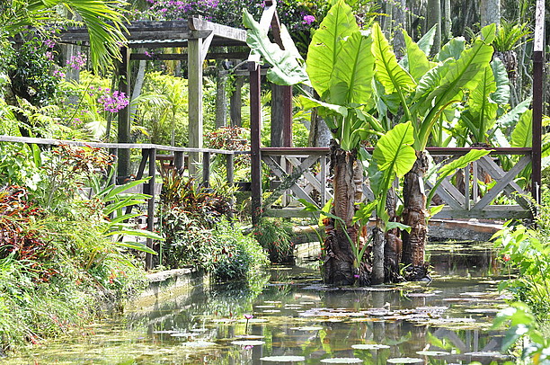 東南植物楽園２