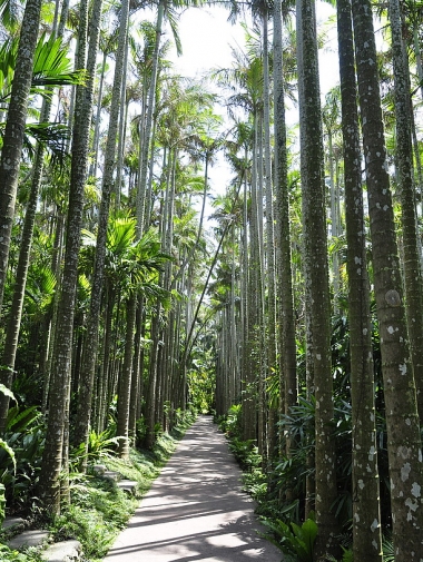 東南植物楽園３