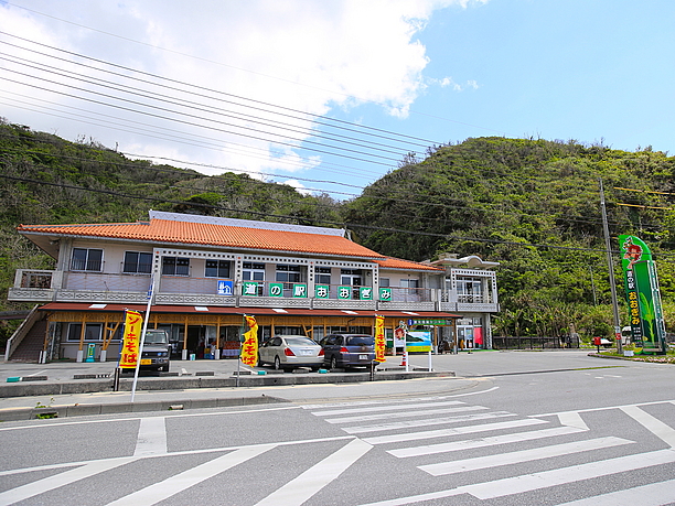 道の駅おおぎみ０１