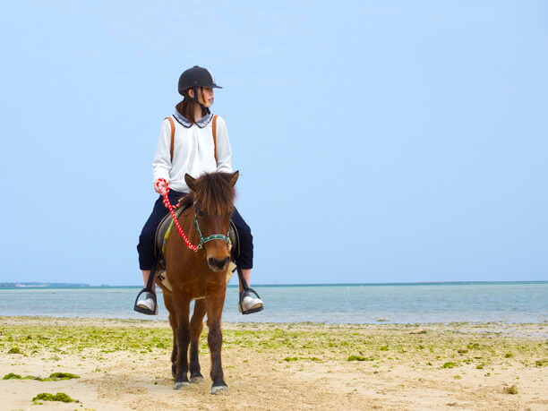 浜辺の乗馬