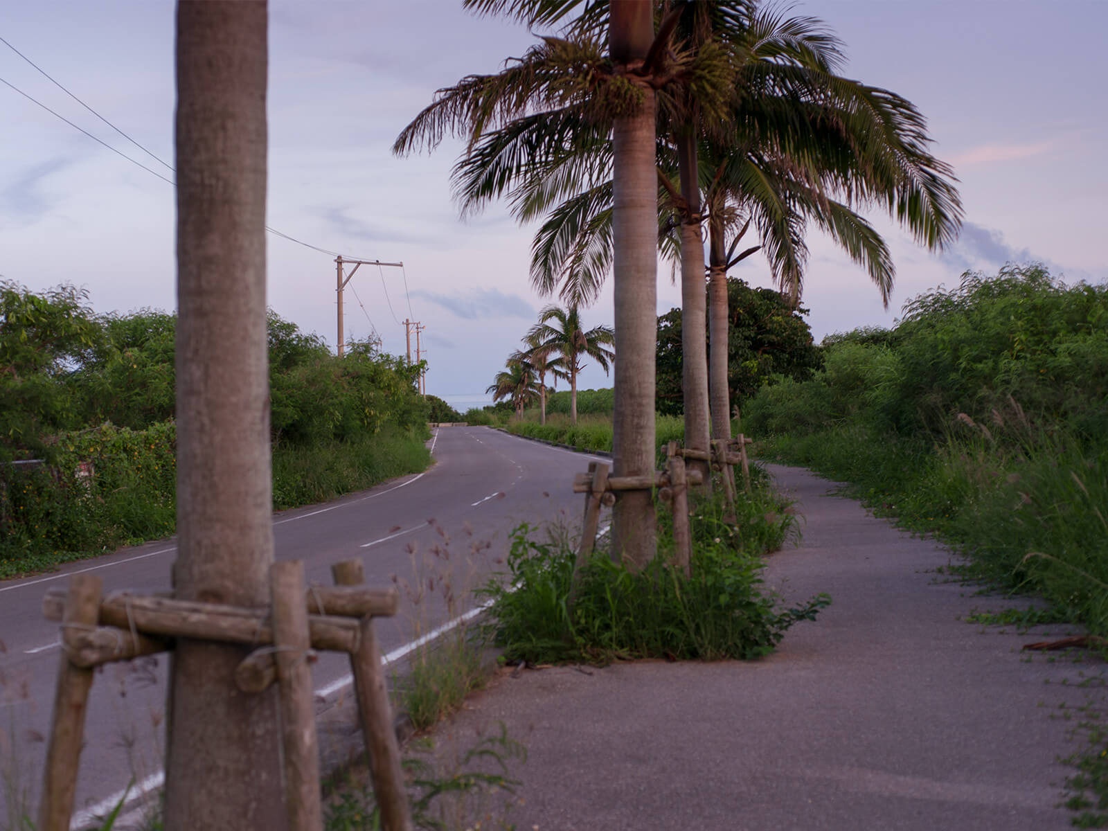 多田浜海岸への道