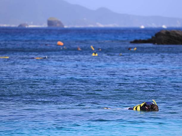 海に向かって右手の岩場付近には豊かなサンゴが