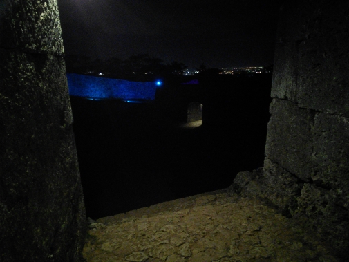 夜の城跡