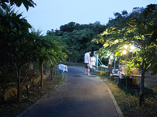 宮古島添道サガリバナ群生地の遊歩道