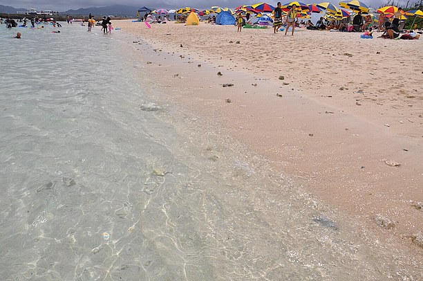 透明度が高いので大きな魚は海面からその姿が見れる