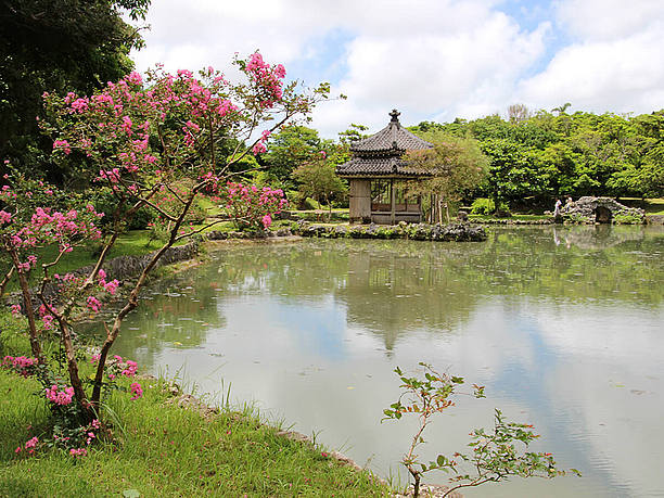 池が緑色