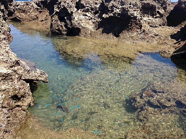 心穏やかになれる水面