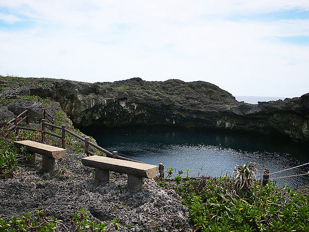 海側の池