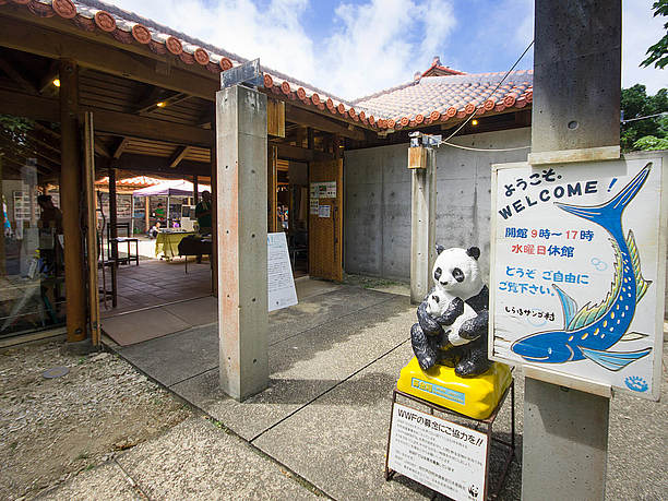 「しらほサンゴ村」入口