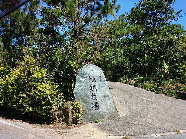 地鶏牧場。案内の目印。