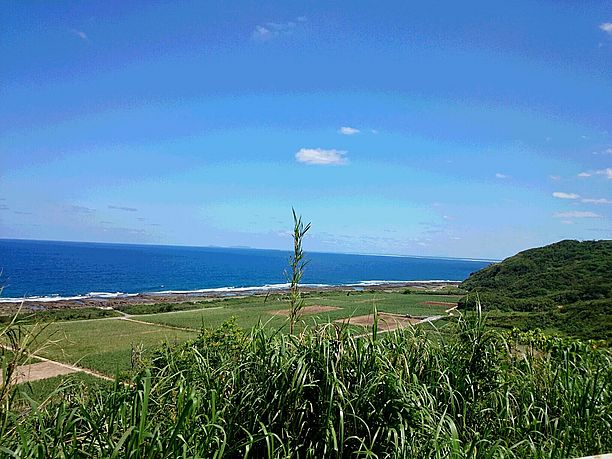 案内板に沿って進むと途中で海が見える