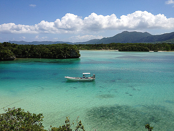 天気が晴れているとき