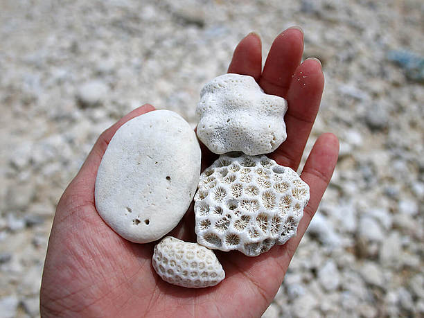 中の島ビーチイメージ