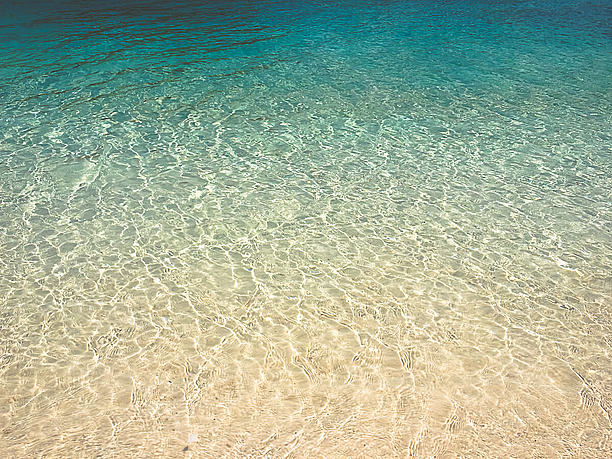 透明度の高い海