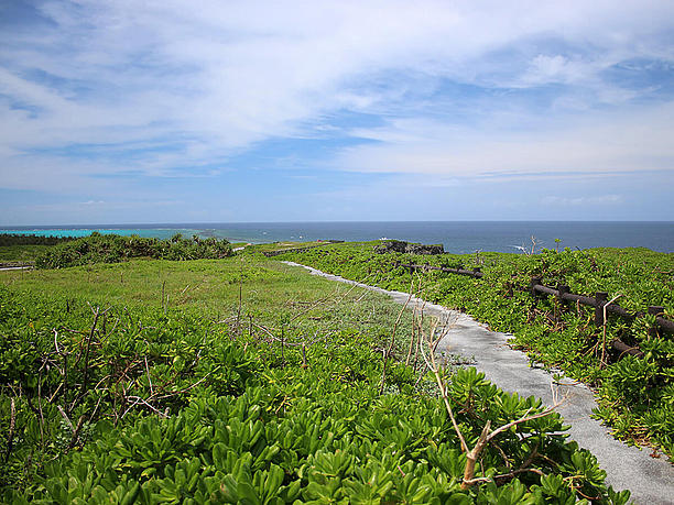 西海岸公園と呼ばれる白鳥崎周辺