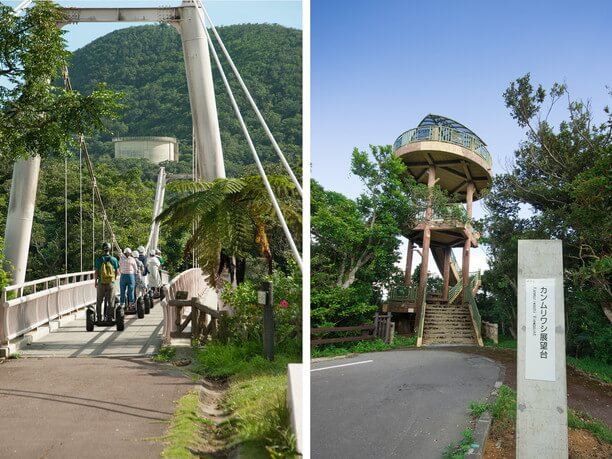 セイシカの橋