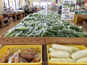 糸瓜(へちま)
