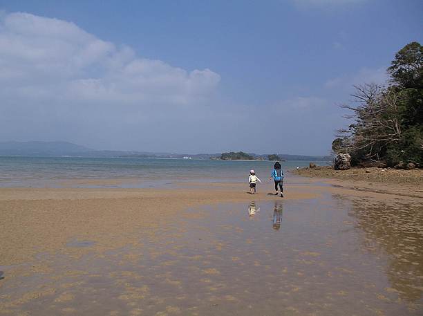 干潮時の羽地内海