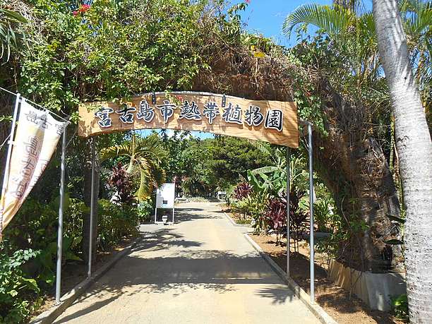 宮古島市熱帯植物園