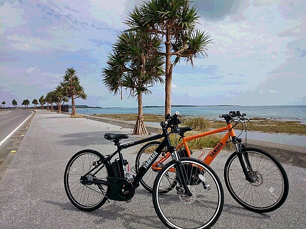 黄色と黒の自転車