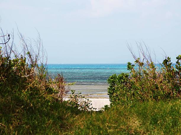 砂浜と海