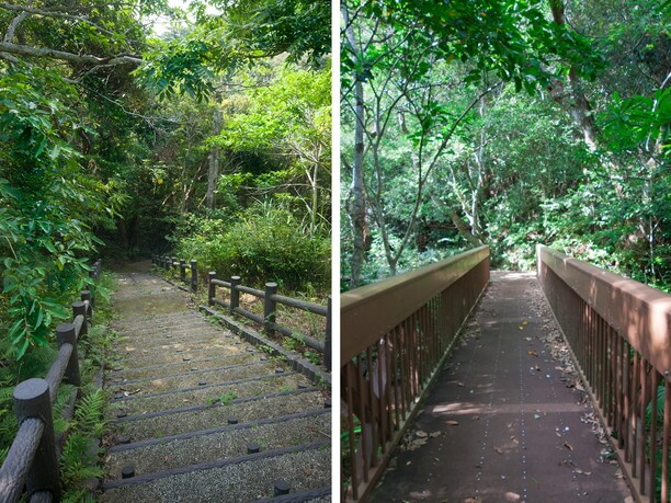 ホタル街道へ向かう階段や橋