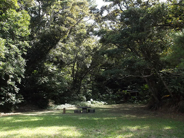 桜園や花木園