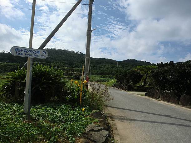 山が見える道