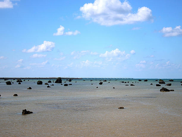 佐和田の浜