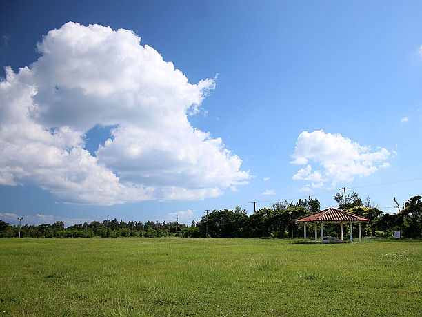 芝生と空