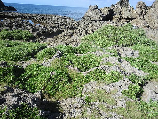 ゴツゴツした岩場