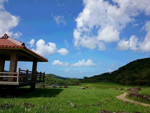 のんびり癒される風景