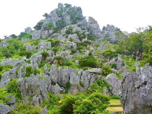 大石林山の全貌