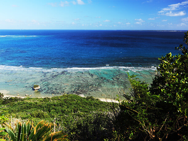 強い海風