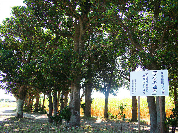 県指定の文化財