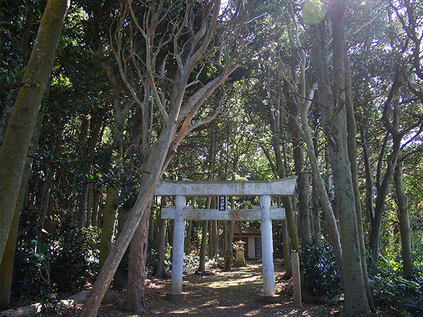 塩川御嶽の周りの大きな木々